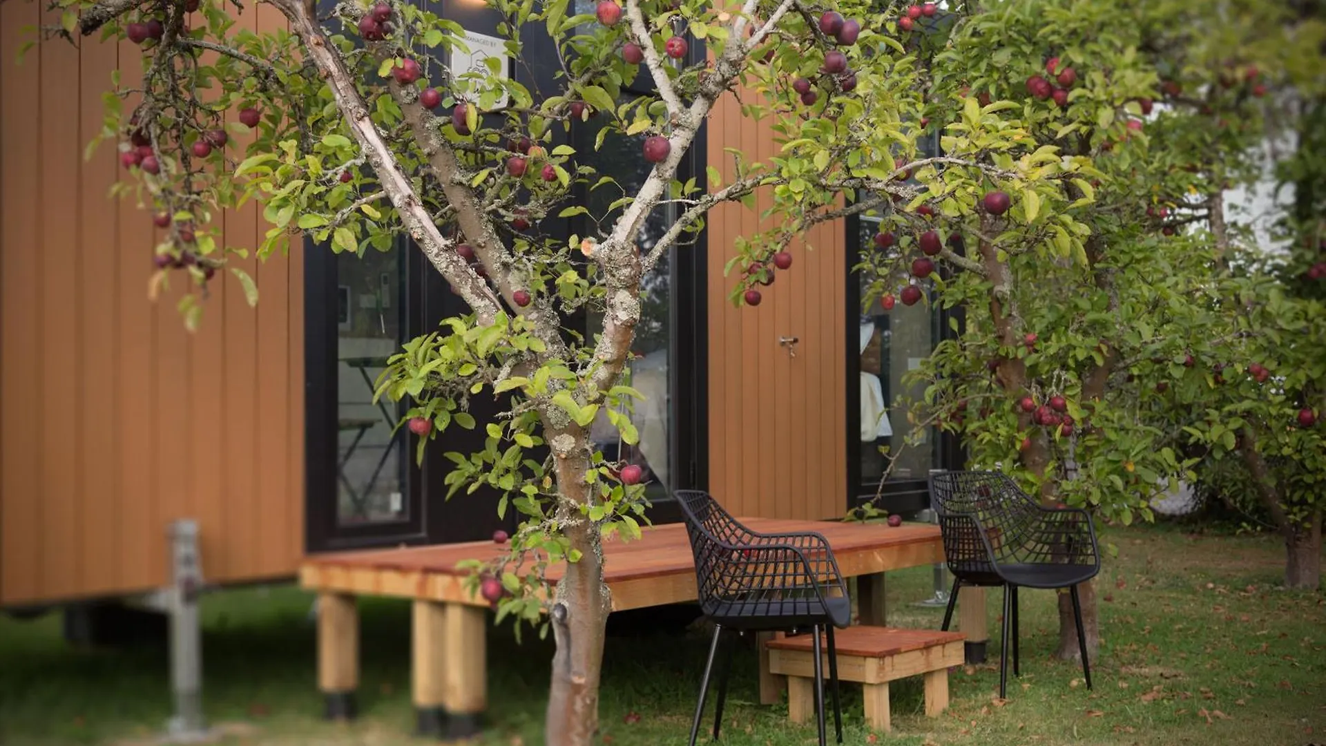 Applewood Cabin 2 By Tiny Away 크라이스트처치 펜션
